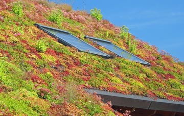 Pennerley living roof systems